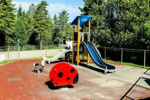 a playground with a slide, swings and a ladybug photo