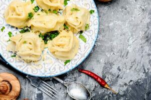 Homemade meat dumplings photo