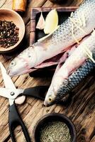 crudo pescado con especias en corte tablero foto
