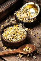 Dried chamomile buttons photo