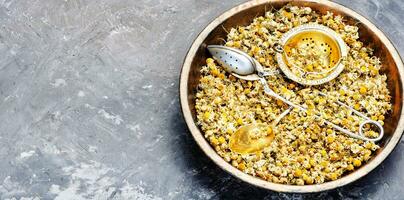 Dried chamomile buttons photo