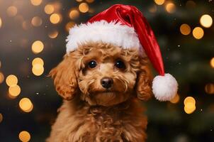 Dog in a Santa hat. Christmas poodle. Generative AI photo