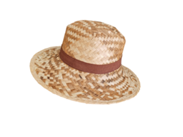 plage paille chapeau isolé png transparent