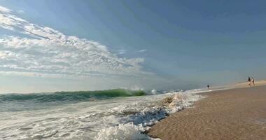 câmera lenta vídeo do uma surfar em uma arenoso de praia durante a dia video