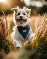 Playful pet portrait in natural surroundings, capturing boundless AI Generative photo