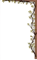 Twing Border Frame PNG Transparent Background Ai Generative