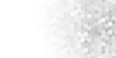 future modern white and grey hexagon background vector