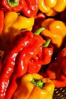 a close up of many red and yellow peppers photo