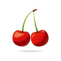 Cherry fruit vector isolated white background