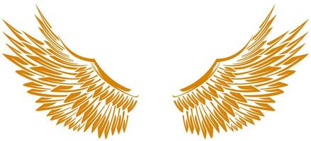 Eagle wings vector design. illustration