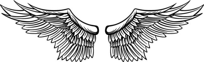 Eagle wings vector design. illustration