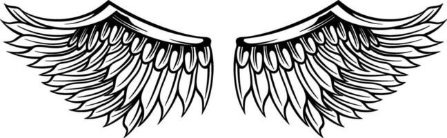 Eagle wings vector design. illustration