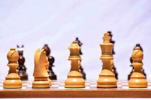 a chess piece stands out in front of a group of chess pieces photo