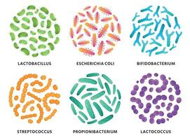 Probiotics. Lactobacillus, bifidobacterium and lactococcus probiotic bacteria in circle. Good bacterias vector illustration set