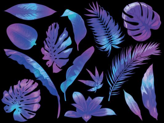 Neon tropical leaves. Color exotic tree and plant leaf, colorful palm leaves hand drawn vector illustration set