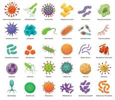 Bacteria and virus icons. Disease-causing bacterias, viruses and microbes. Color germs, bacterium types vector illustration set