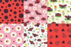 Cartoon ladybug seamless pattern. Ladybird texture, ladybugs in flowers and cute red bug vector illustration set