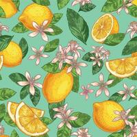 Lemon blossom seamless pattern. Hand drawn yellow lemons with green leaves and citrus flowers. Botanical garden fruits vector illustration