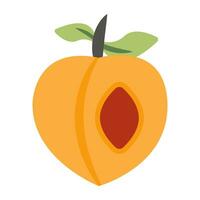 A beautiful design icon of apricot vector