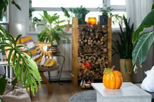 Bright sunny interior of the house with with firewood, an armchair, large potted plants and an autumn decor of pumpkins for halloween and autumn mood. photo