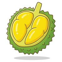 vector ilustración de Durian Fruta bueno para pegatina o marca