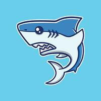 Vector illustration of shark on blue background