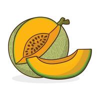 Vector illustration of the muskmelon with net pattern