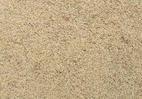 Paddy rice seed or unmilled rice background photo