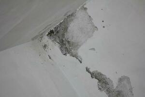 Water damaged ceiling roof, brown stain, office building photo