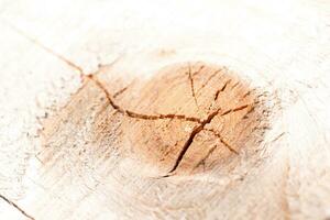 Wood texture with rings and crack, close-up photo