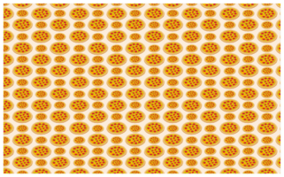 comida - Pizza modelo antecedentes png