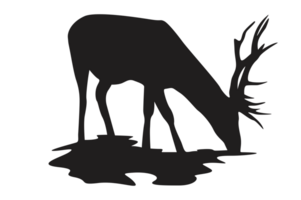 posa di cervo silhouette con trasparente sfondo png