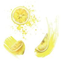 Yellow lemons with splashes of juice, round slice and quarter with seeds. Watercolor, hand drawn botanical illustration. Set of isolated elements on a white background vector