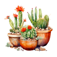 Ai generated watercolor cactus plants in pots on a transparent background png