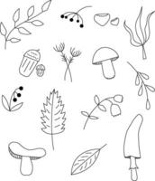 Autumn doodles with mushrooms and leaves vector