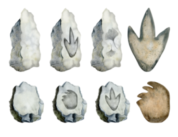 dinosaurios huellas en gris piedras conjunto de acuarela ilustraciones con patas de diplodocus y tiranosaurio. mano dibujado fósil clipart png