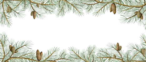 épicéa branches horizontal bannière avec pin cônes pour hiver et Noël aquarelle illustration. vacances modèle png