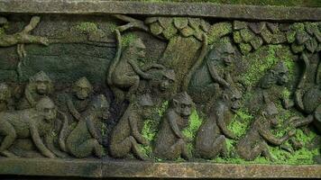 statues of monkeys in the forest in Bali video