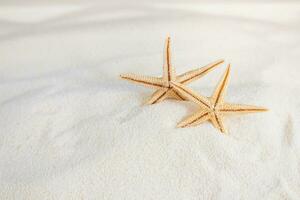 Two orange starfish with sand waves on white beach. Vacations, relaxation, travel to hot countries. Copy space photo