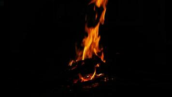 Put firewood on the fire.  Camping in the camp fire is burning in nature in the dark. Create a fire. safe use of fire in the forest. video