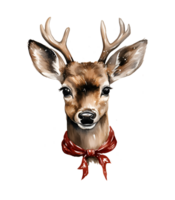 Deer watercolor clipart illustration with isolated background. AI Generative png