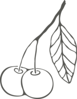 Branch with cherry berries and leaf drawing with black outline silhouette png