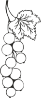 un silueta de grosella rama con bayas y hojas, bosquejo dibujo con negro contorno png