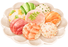 acuarela Sushi pelotas png