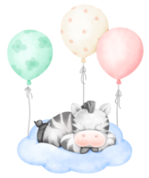 Cute Zebra sleeping watercolor png