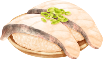 Watercolor White Fish Sushi png