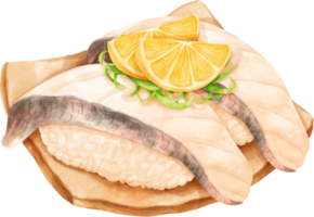 acuarela Sushi ilustración png