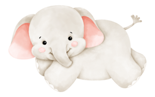 schattig waterverf olifant png