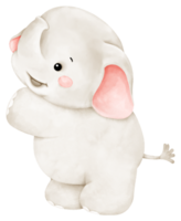 söt baby elefant png