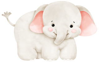 cute baby elephant png
